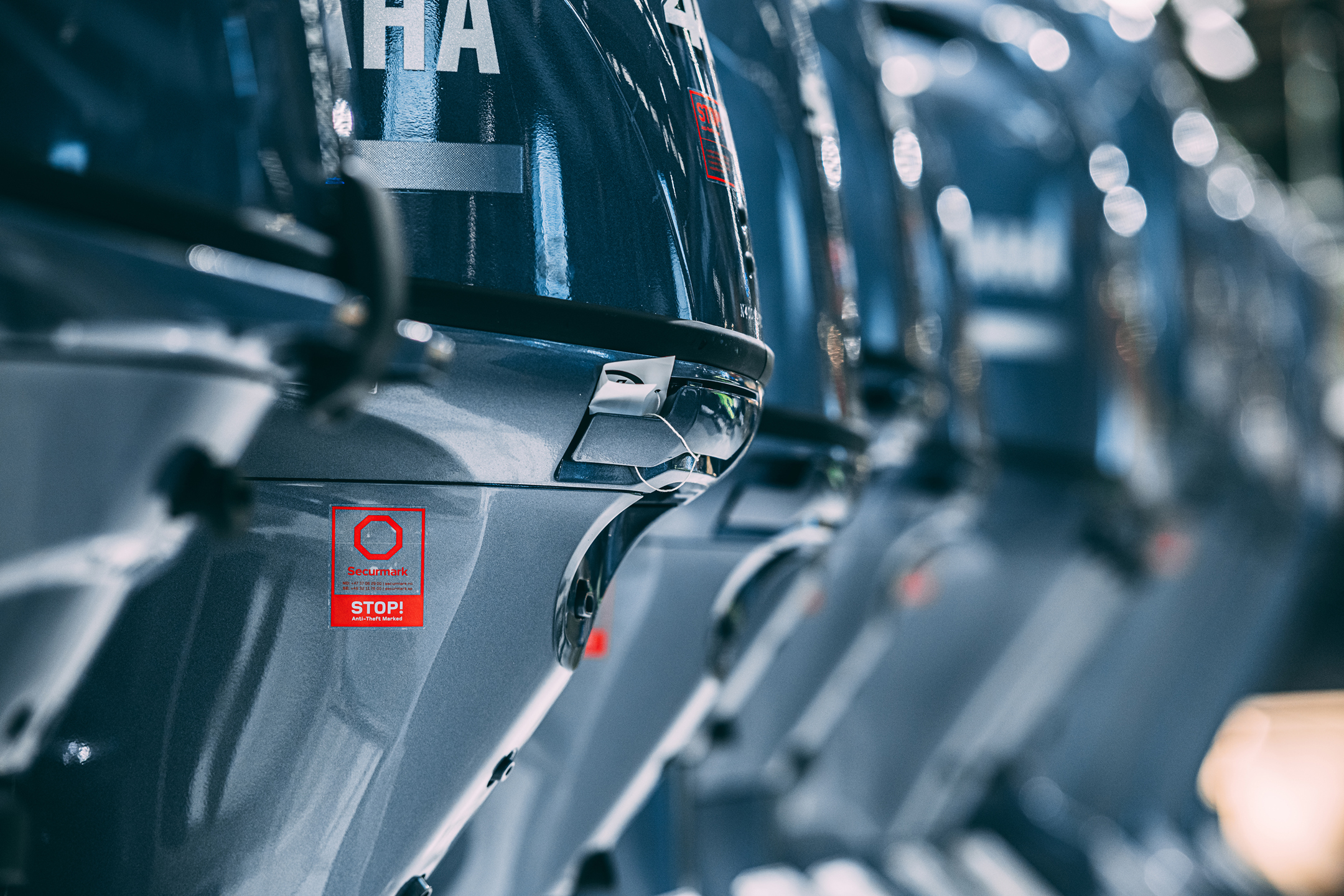 securmark_illustrasjons_tyverimerking_001 kopi.jpg